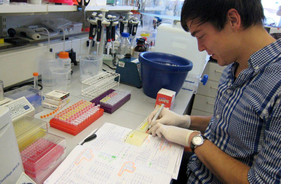 Christian Winkler working, 2011
