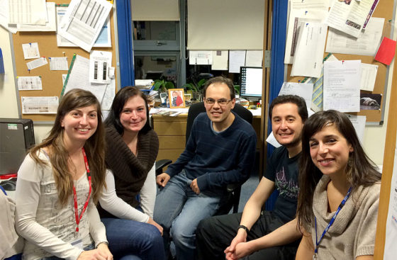 DNA Replication Group, February 2015