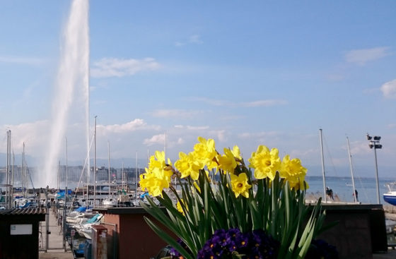 Christian Speck gives a talk at the University of Geneva . . . enjoying the view from Lake Geneva.