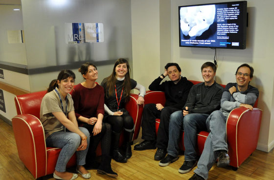DNA Replication Group, March 2016