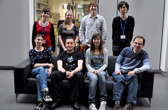 DNA Replication Group, June 2016