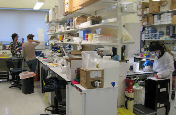 Sarah Schneider plunge-freezes cryo-EM grids . . . meanwhile, on the other side of the lab
