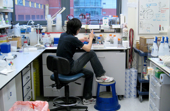 Yasunori Noguchi loads gel