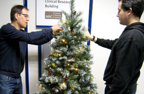 Christian Speck and Alberto Riera decorate the DNA Replication Group Christmas tree