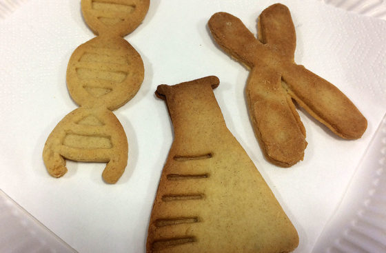 Daphne Jackson Trust bake sale . . . the results are half-baked