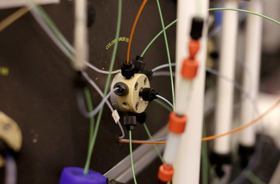 Marta Barbon and Max Reuter keep cool while purifying proteins using the ÄKTA system