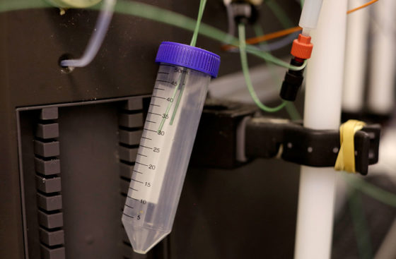 Marta Barbon and Max Reuter keep cool while purifying proteins using the ÄKTA system