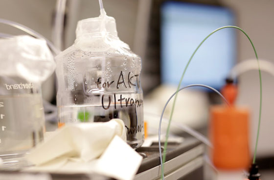 Marta Barbon and Max Reuter keep cool while purifying proteins using the ÄKTA system