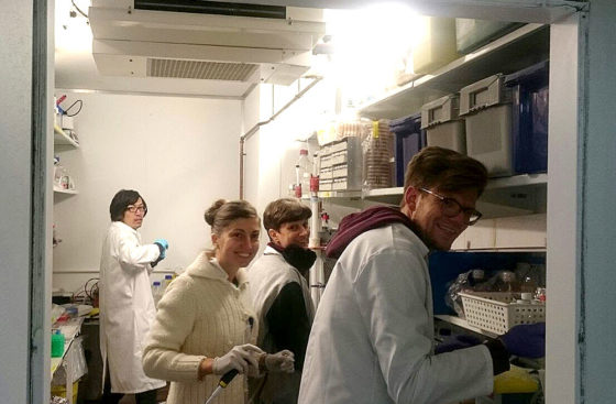 Yasunori Noguchi, Marta Barbon, Indiana Magdalou and Max Reuter in the cold room aliquoting purified origin recognition complex (ORC) protein