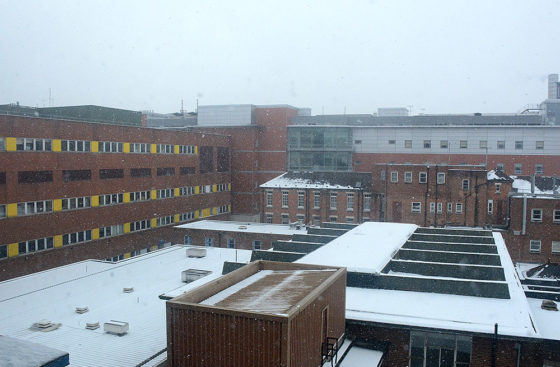 Snowstorm turns the London Institute of Medical Sciences into a winter wonderland