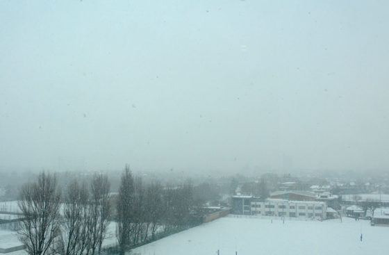 Snowstorm turns the London Institute of Medical Sciences into a winter wonderland