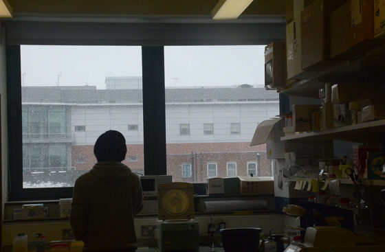 Snowstorm turns the London Institute of Medical Sciences into a winter wonderland