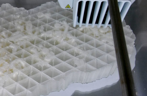 MCM2-7 double hexamer model made with the new 3D printer, using water soluble support. A success!