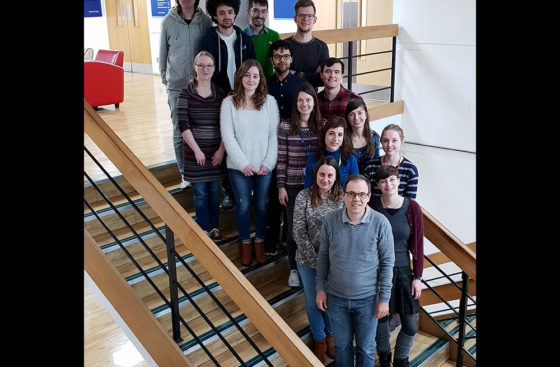 DNA Replication Group, January 2019