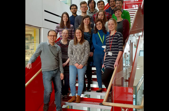 DNA Replication Group, January 2019