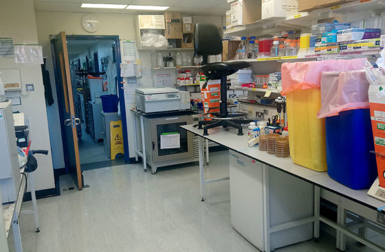 Day of cleaning the lab after the floor had been cleaned and polished.