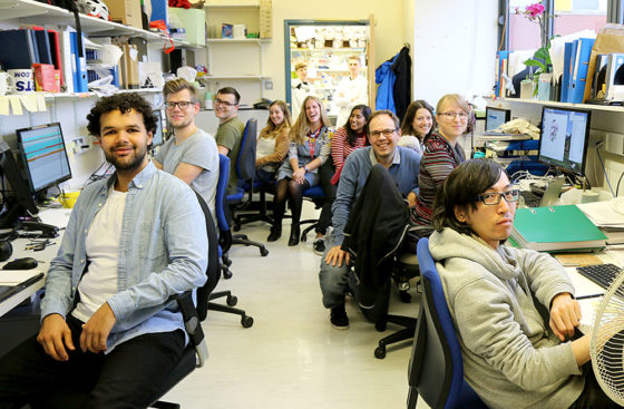 DNA Replication Group, October 2019