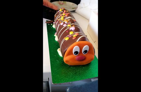 Sarah Faull's birthday celebrated in the office with Colin the Caterpillar roll cake