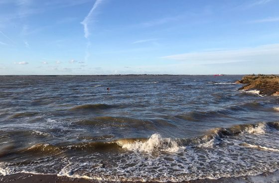 Day one of the 2020 DNA Replication Group retreat at Bellropes guesthouse in Bradwell-on-Sea, Southminster, United Kingdom