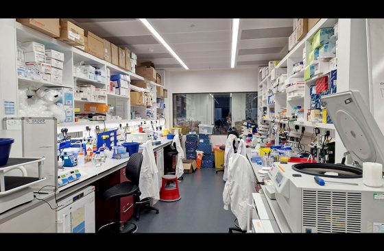 The DNA Replication Group lab at the new MRC London Institute of Medical Sciences (LMS)